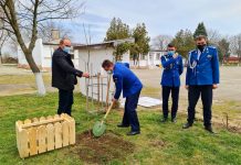 Au plantat stejari, de ziua Jandarmeriei