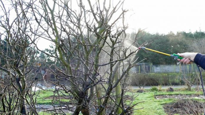 Agricultura pe înțelesul tuturor – Lucrări agricole în repausul vegetativ