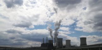 CEO a plătit peste 1 miliard de euro pentru certificatele de carbon