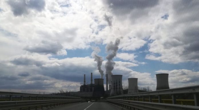 CEO a plătit peste 1 miliard de euro pentru certificatele de carbon