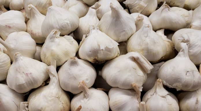 Programul de susținere a producției de usturoi, aprobat! Vezi condițiile și bugetul!