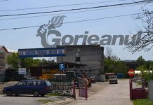 Administratorul executiv al DP Motru a decis: mărirea tarifului la gunoi cu aproape 50% și eutanasierea câinilor din adăpost