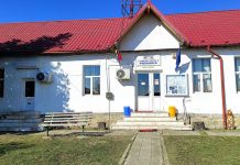 Semnătură falsificată la o secție de votare din Schela! Cinci fapte penale cercetate de IPJ