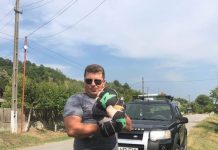 Consilierul USR din Aninoasa, reținut după un scandal în bar! Șoferul de pe microbuzul școlar, cu capul spart