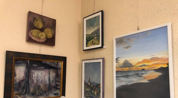 Punte cromatică de la Vâlcea în Târgu Jiu