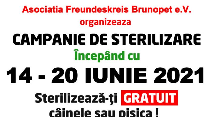 Campanie gratuită de sterilizare a patrupedelor, la Rovinari
