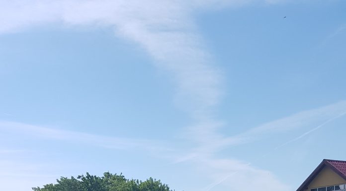 Accident cu o victimă la Stănești