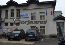 Angajări în masă la DGASPC Gorj! Se caută psihologi, asistenți sociali și un maseur