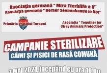 Campanie gratuită de sterilizare a patrupedelor, la Turceni