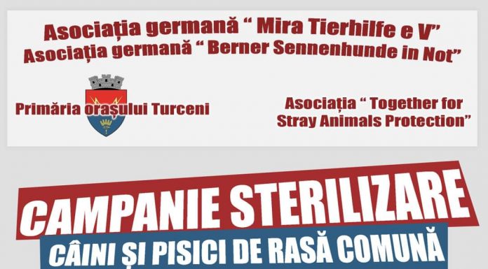 Campanie gratuită de sterilizare a patrupedelor, la Turceni