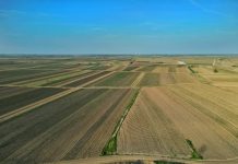 APIA: Stadiul campaniei de primire a cererilor unice de plată