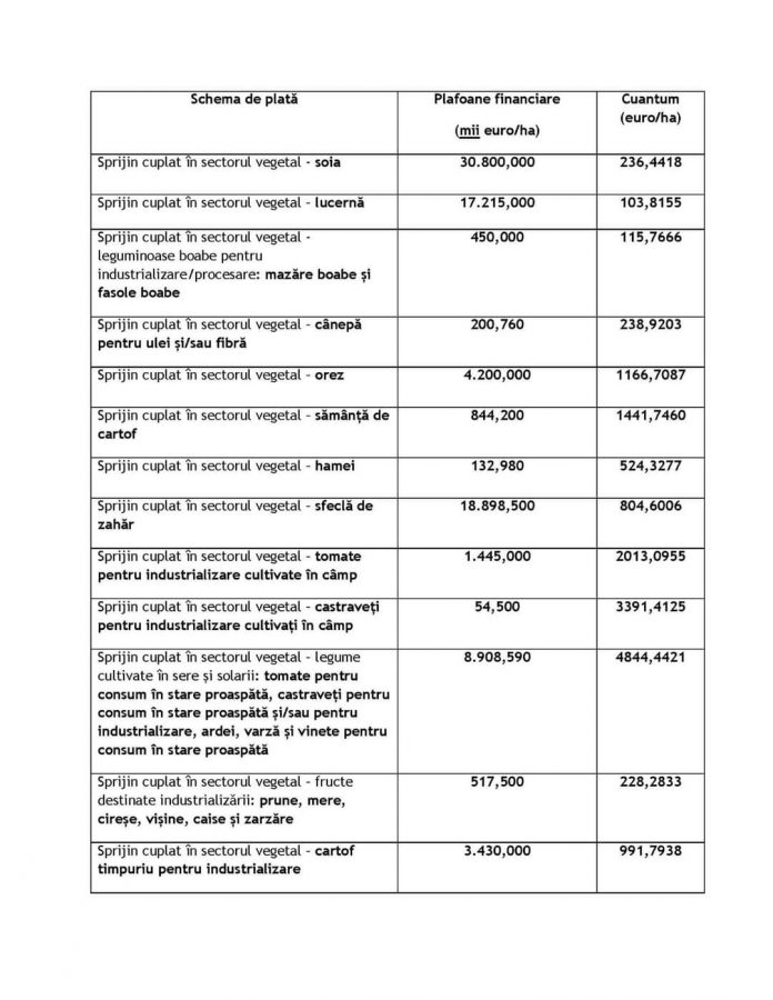 FB_IMG_1620380820294