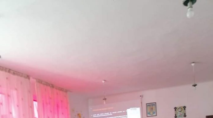 Consiliere în carieră pentru elevii din Crușeț