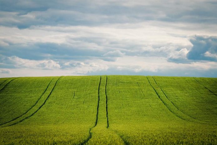 FB_IMG_1621843089937