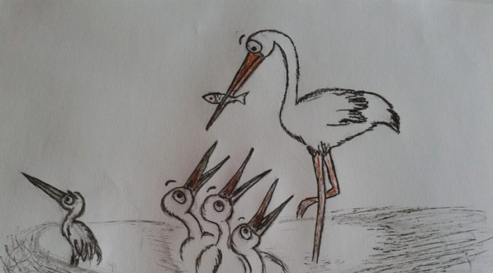 Povestiri din grădină: Bărzănel cel Mofturos