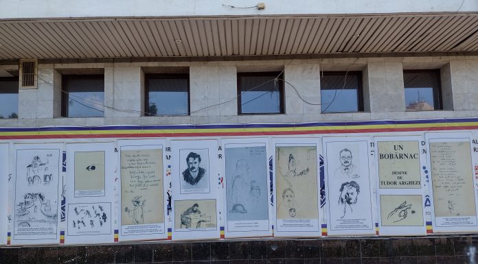 Expoziție stradală în centrul municipiului Târgu Jiu