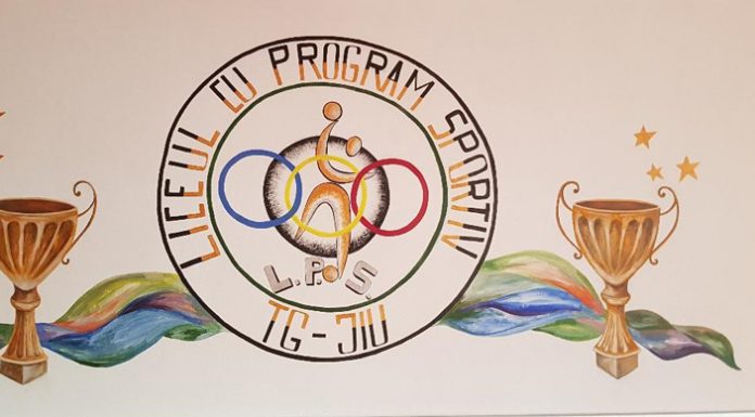 Liceul cu Program Sportiv – liceul care te face campion