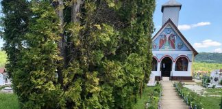 Anunțuri scrise pe table legate pe cruci, într-un cimitir din Gorj!