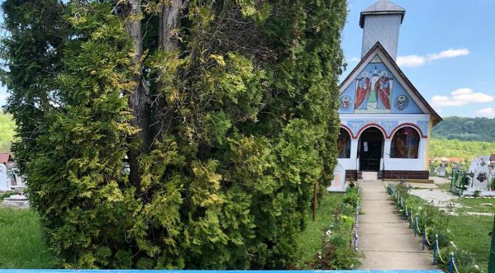 Anunțuri scrise pe table legate pe cruci, într-un cimitir din Gorj!