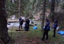 Anchetă pentru zeci de câini omorâți și abandonați în saci în munții Gorjului!