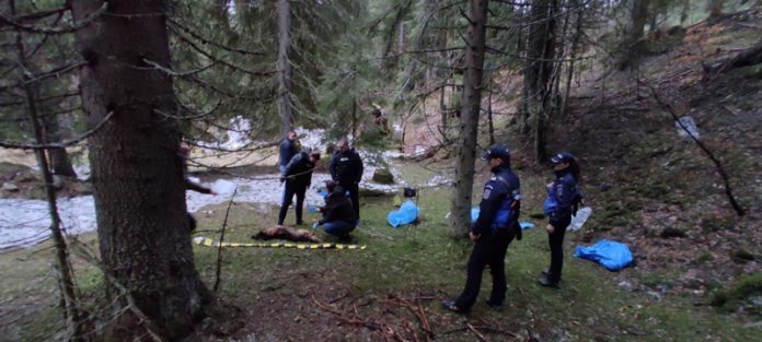 PHOTO-2021-05-21-08-42-32-(2)