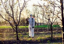 Agricultura pe înțelesul tuturor – Protecția fitosanitară a pomilor fructiferi