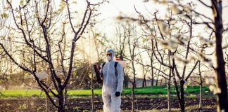 Agricultura pe înțelesul tuturor – Protecția fitosanitară a pomilor fructiferi
