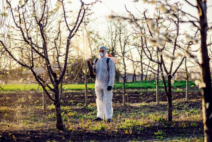 Stropirea-pomilor-primavara