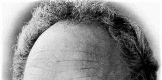 Cenaclul „Columna” și profesorul Titu Rădoi sub dictatura comunistă (III)