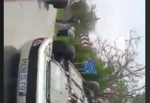 UPDATE: Un copil de 5 ani şi o tânără, victime în accidentul de la Bărbăteşti