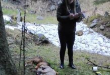 FOTO: Cadavrele mai multor câini au împânzit Câmpu lui Neag!