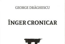 Exegeze – Expresivitatea „Îngerului cronicar” între poesis şi social