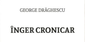 Exegeze – Expresivitatea „Îngerului cronicar” între poesis şi social