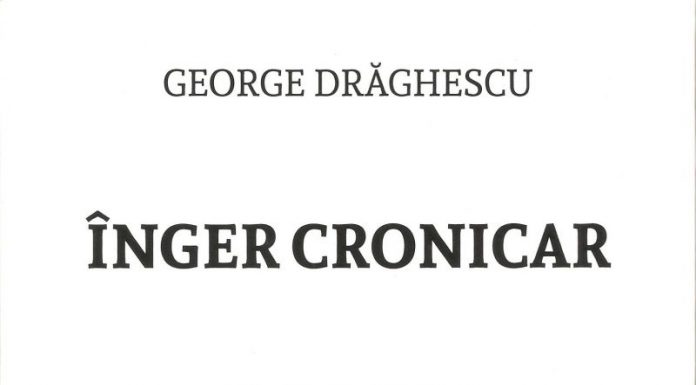 Exegeze – Expresivitatea „Îngerului cronicar” între poesis şi social