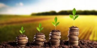 Au fost aprobate plafoanele financiare alocate măsurilor de sprijin cuplat în sectorul vegetal!