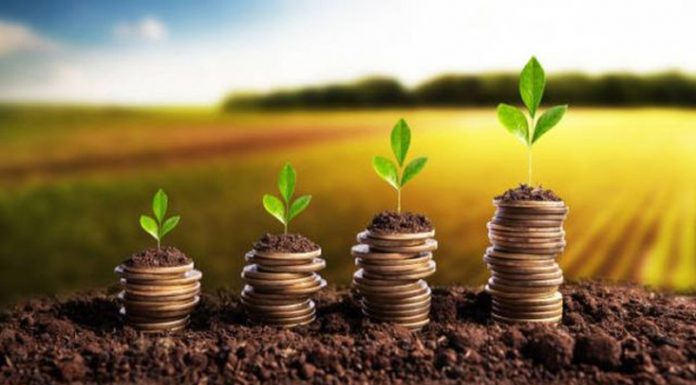 Au fost aprobate plafoanele financiare alocate măsurilor de sprijin cuplat în sectorul vegetal!