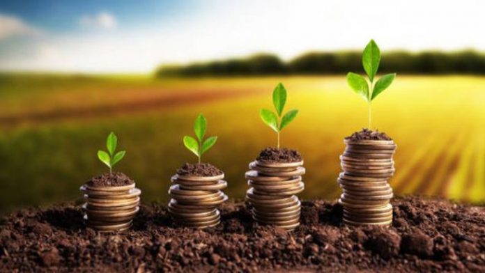 cuantumuri-sprijin-cuplat-vegetal-2021-640x360