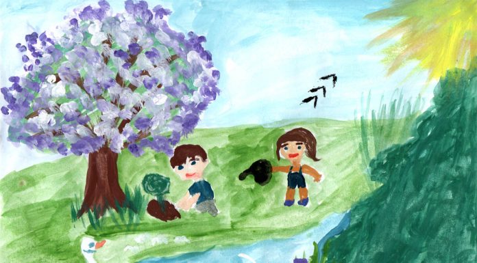 Concurs de eseu, desen și fotografie pentru elevi