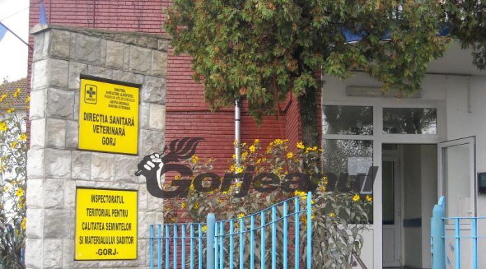 DSVSA Gorj face angajări temporare pe trei posturi! Dosarele de concurs se depun până pe 8 iunie!