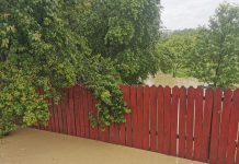 Cod galben de viituri pe mai multe râuri din Gorj