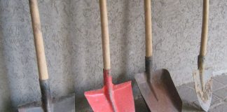 CEO dă 50.000 de lei pe lopeți