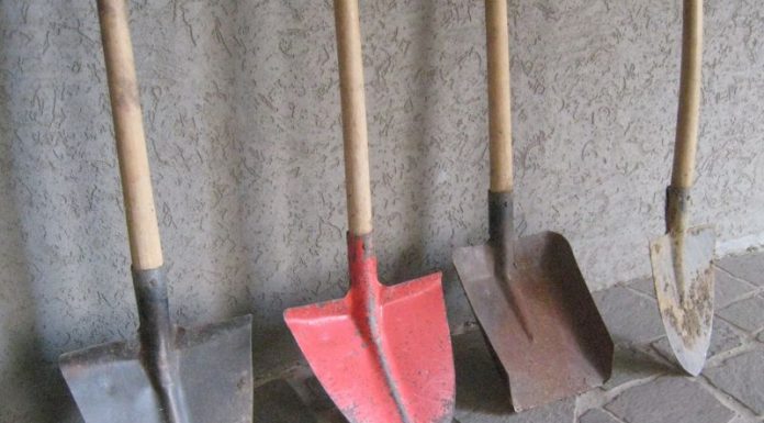 CEO dă 50.000 de lei pe lopeți