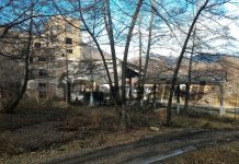 Discuții privind mina de grafit de la Baia de Fier