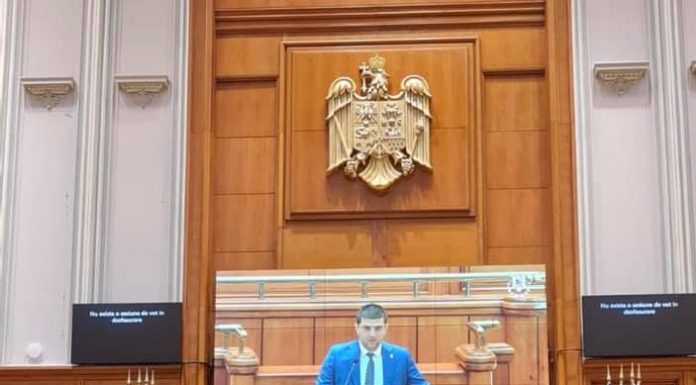 Deputatul Miruță vrea strategie pentru creșterea natalității