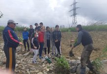 Gorj: Acțiuni de educație ecologică și plantări de arbori