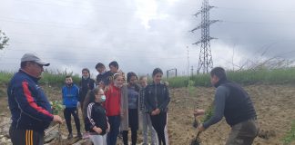 Gorj: Acțiuni de educație ecologică și plantări de arbori