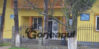 Alegerile parțiale din Bumbești Pițic, pe 27 iunie! Campania începe din 23 mai