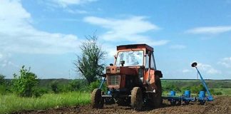 Agricultura pe înțelesul tuturor – Semănatul corect al porumbului