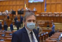 Deputat de Gorj: Românii întorși în țară pe perioada pandemiei, șomeri fără speranță