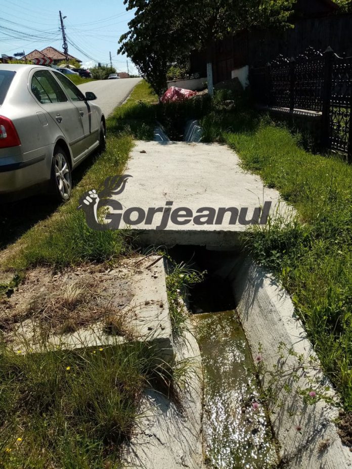 196243747_3019220648316737_8084975387997014978_n